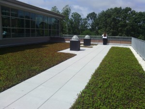 Northside Elementary rooftop garden