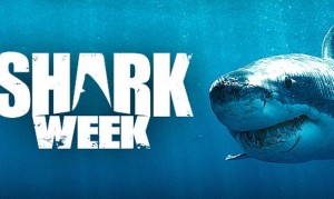 shark-week-620x370