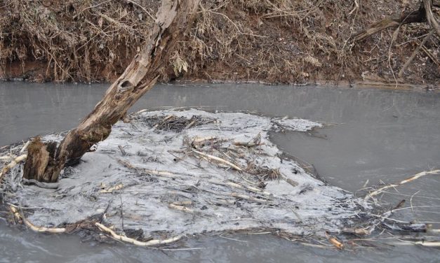 Lessons Learned From Dan River Coal Ash Spill