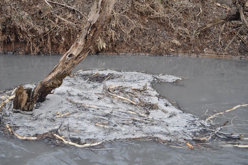 Arsenic Detected In NC River After Coal Ash Spill