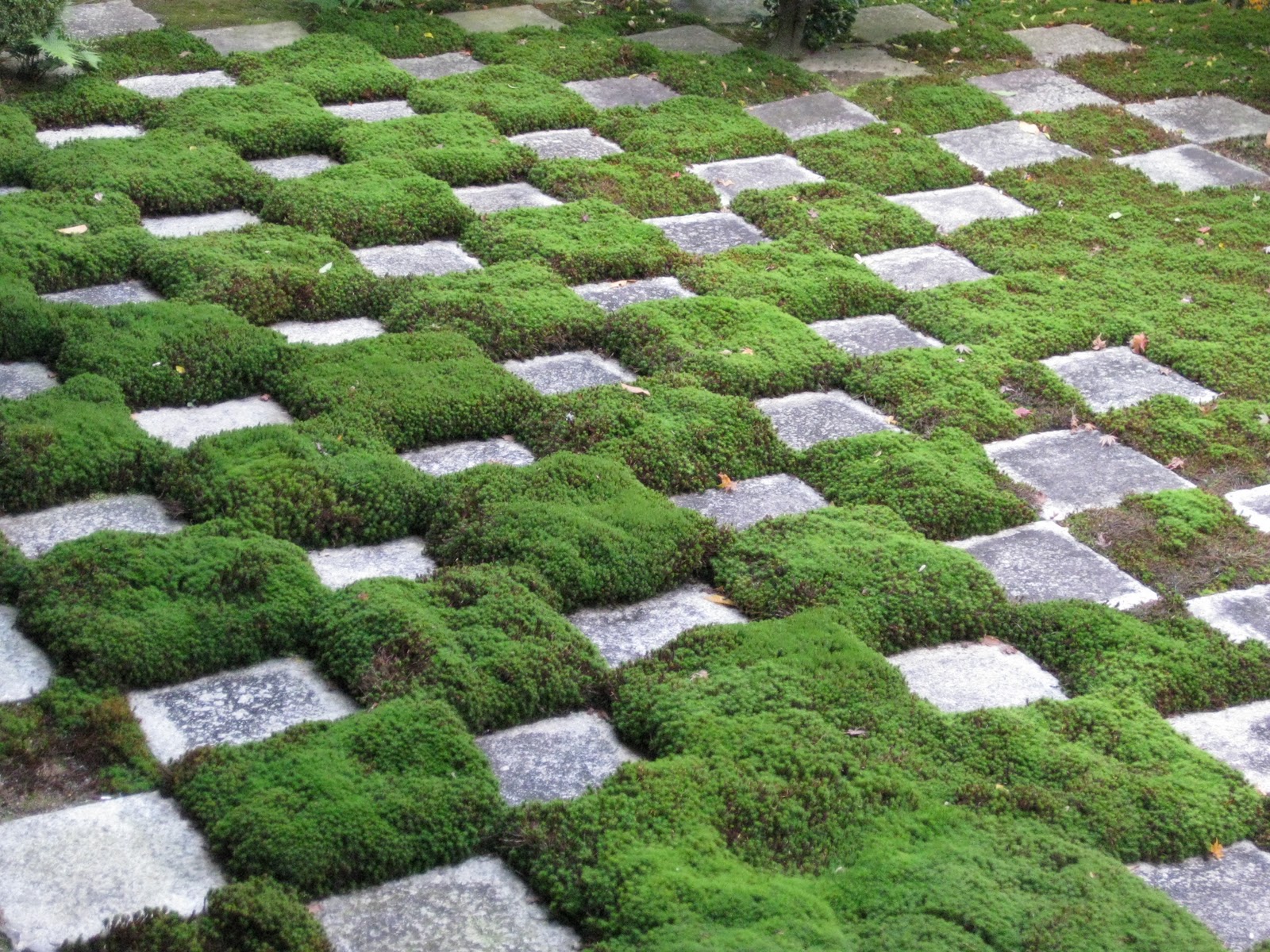 Moss landscaping deals