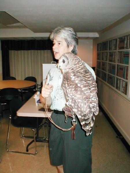 Piedmont Wildlife Center Holds 12th Annual Auction