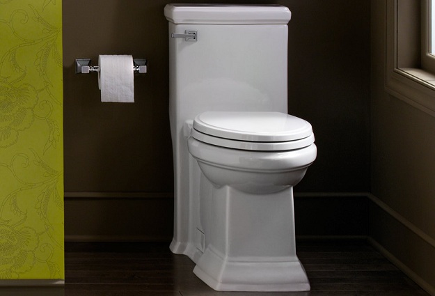 Is The Toilet The Greatest Public Health Invention Ever?