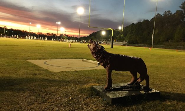 Tigers Put It All Together Topping Red Wolves 27 – 3 On A Beautiful Hillsborough Night