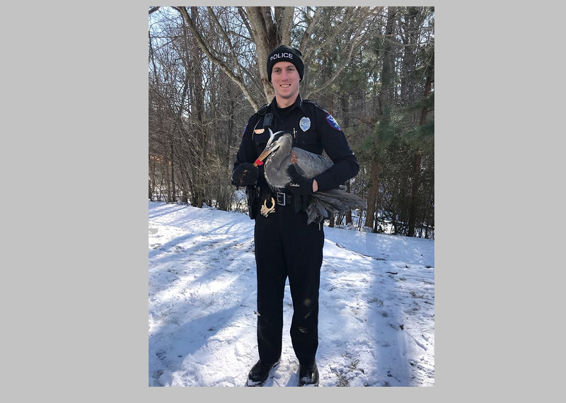 Carrboro Police Officer Saves Animal From Ice
