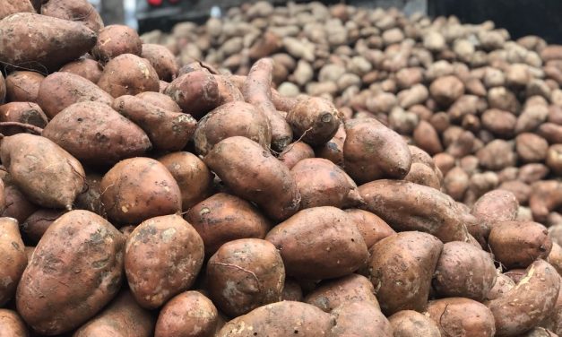 Ex-NFL Player Gifts 20 Tons of Sweet Potatoes for ‘Yam Jam’