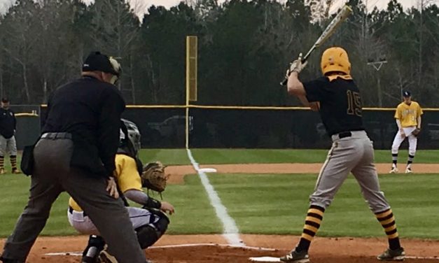 DH Conley Tops Tigers 9 – 2 With Pivotal 5 Run First Inning