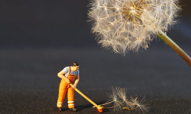Small Business, Big Lessons™ – Spring Cleaning