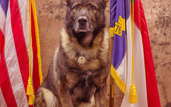 Retired Hillsborough K9 Officer Talon Dies