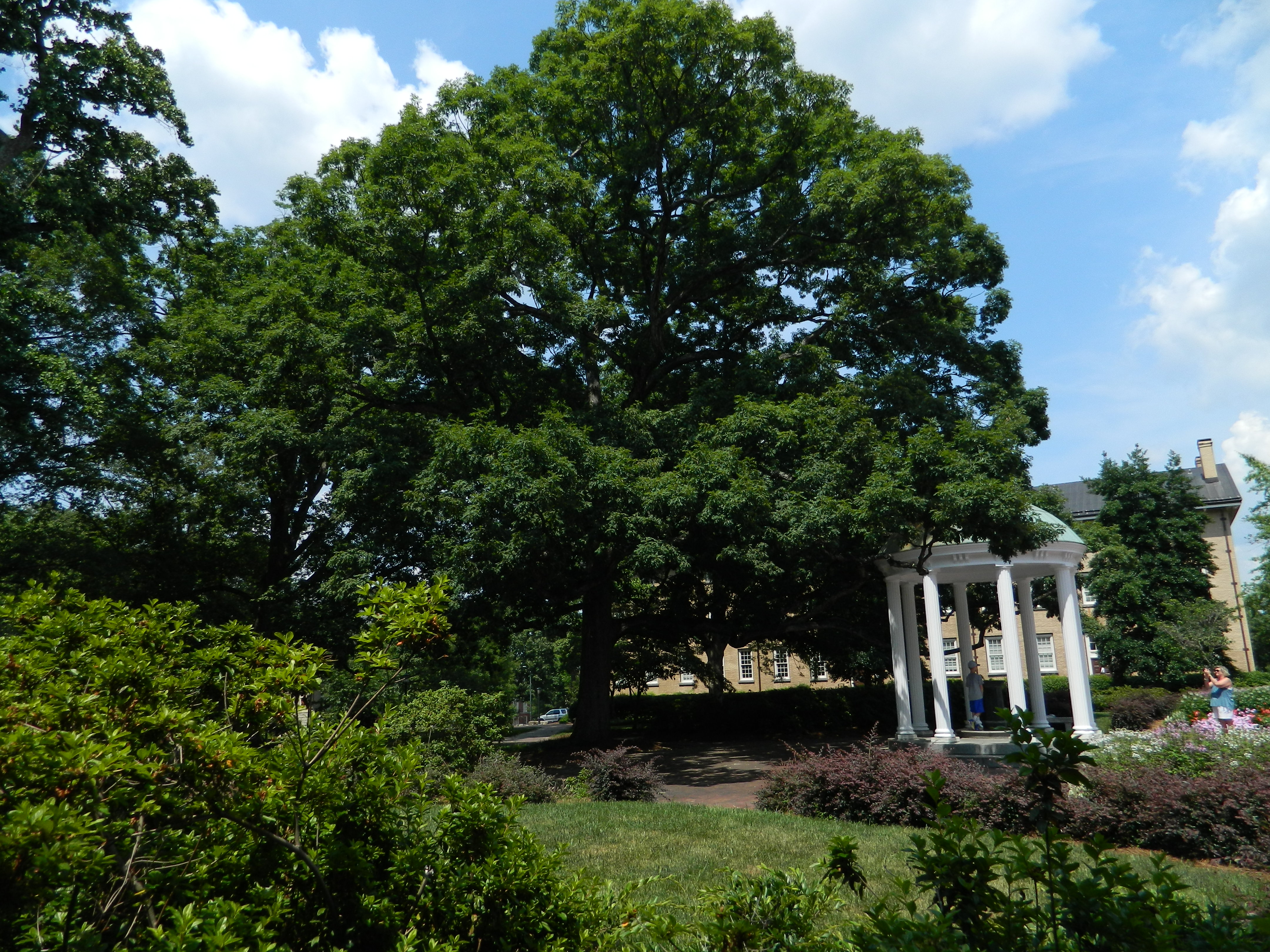 2 UNC Alumni Chosen as Pickering Fellows