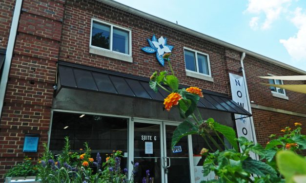 Eating Extremely Local At Blue Dogwood