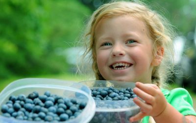 This is Tourism: Agritourism in Orange County