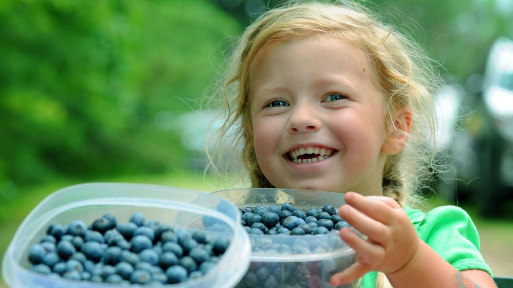 This is Tourism: Agritourism in Orange County