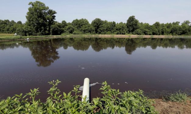 Jury Tells Pork Giant to Pay $473.5M in Nuisance Lawsuit
