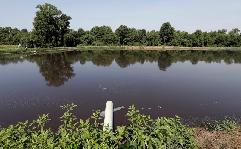 Jury Tells Pork Giant to Pay $473.5M in Nuisance Lawsuit