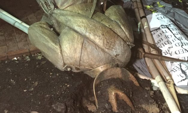 Protesters Tear Down Silent Sam Statue