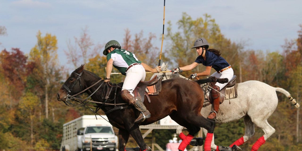 Triangle Area Polo Hosting ‘Battle of the Blues’ Charity Match