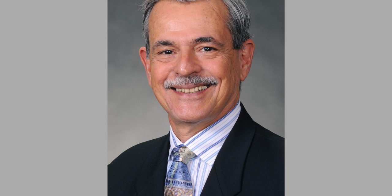 Focus Carolina: Lewis Lampiris