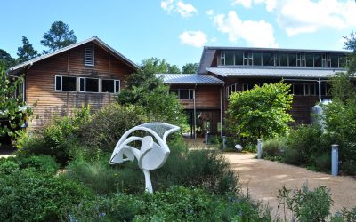 This is Tourism: NC Botanical Garden