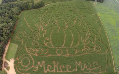 This is Tourism: McKee Cornfield Maze