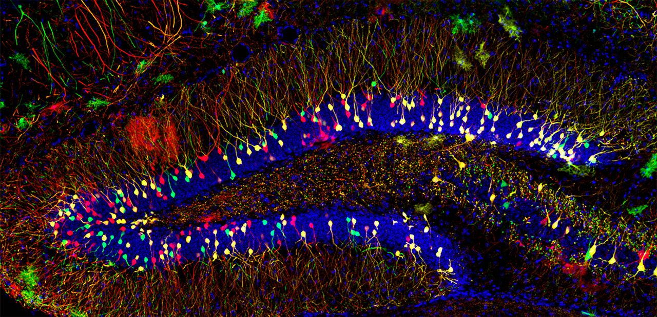 ‘The Art of Science and Innovation’ at the North Carolina Museum of Art