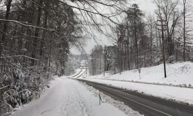 Local Residents Enjoy the First Snow of the Year