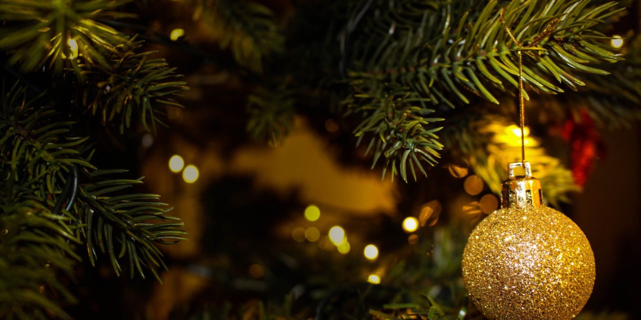 DG Martin: A Scraggly Christmas Tree