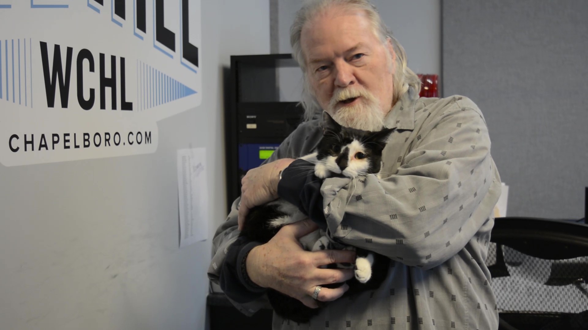 Adopt-A-Pet: Kipling from Independent Animal Rescue