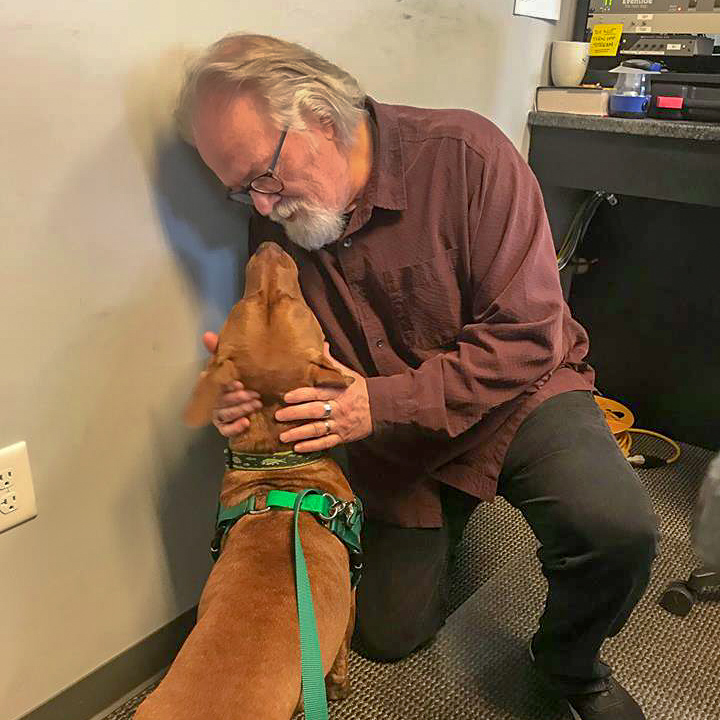 Adopt-A-Pet: Quill from Independent Animal Rescue