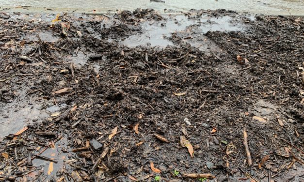 Chapel Hill Removes Jefferson Davis Memorial Plaque