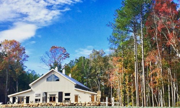 Made in NC: Old Macdonald Has A Lavender Farm