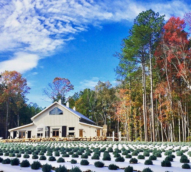 Made in NC: Old Macdonald Has A Lavender Farm