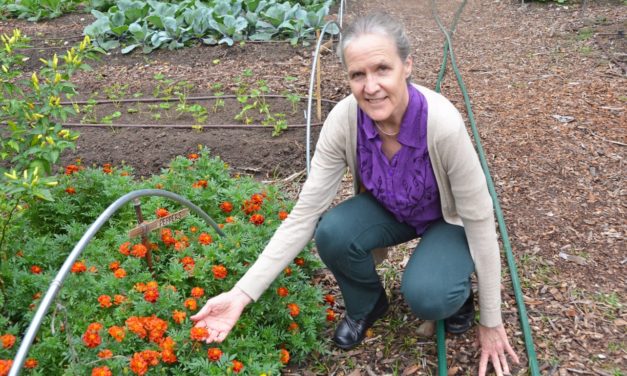 Focus Carolina: Alice Ammerman