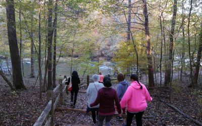 This is Tourism: Taking a Walk With Michelle Rogers