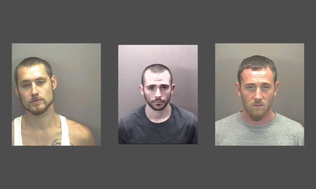 Orange County Sheriff’s Office Looking for Break-In Suspects