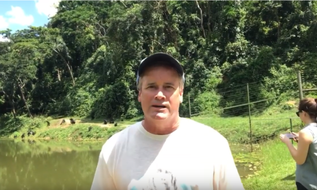 UNC Professor & Video Journalist Jim Kitchen Hangs with Bonobos in the Democratic Republic of Congo