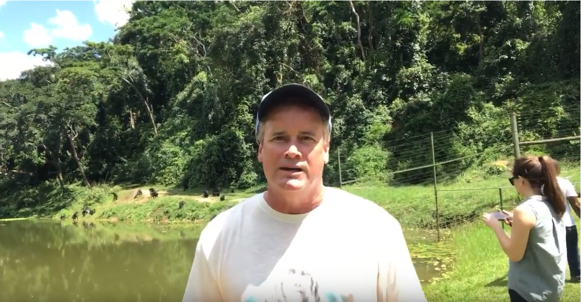 UNC Professor & Video Journalist Jim Kitchen Hangs with Bonobos in the Democratic Republic of Congo