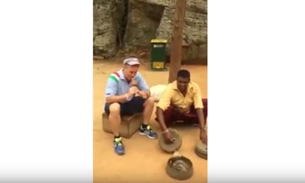 UNC Professor & Video Journalist Jim Kitchen Charms a Poisonous Cobra in Sri Lanka