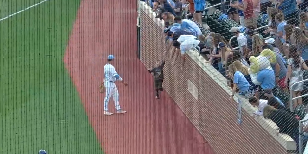 UNC Baseball Fan Ignores Rules of Base Running, Gets Standing Ovation