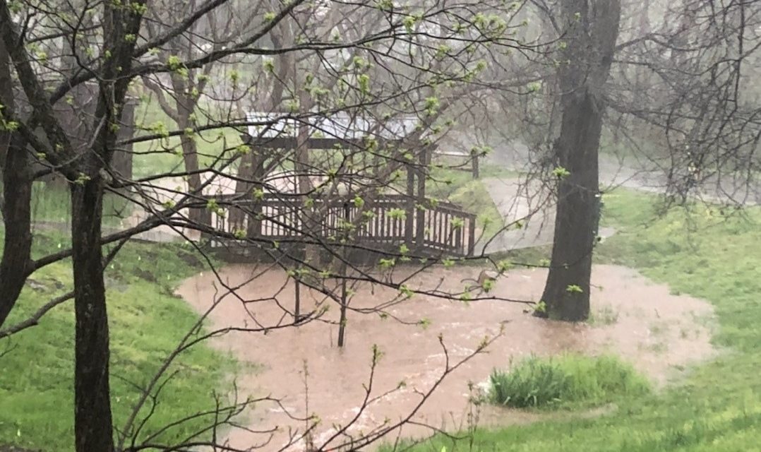 Heavy Rain Closes Hillsborough Park; OWASA Responds to Wastewater Spill