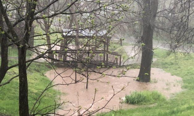Heavy Rain Closes Hillsborough Park; OWASA Responds to Wastewater Spill