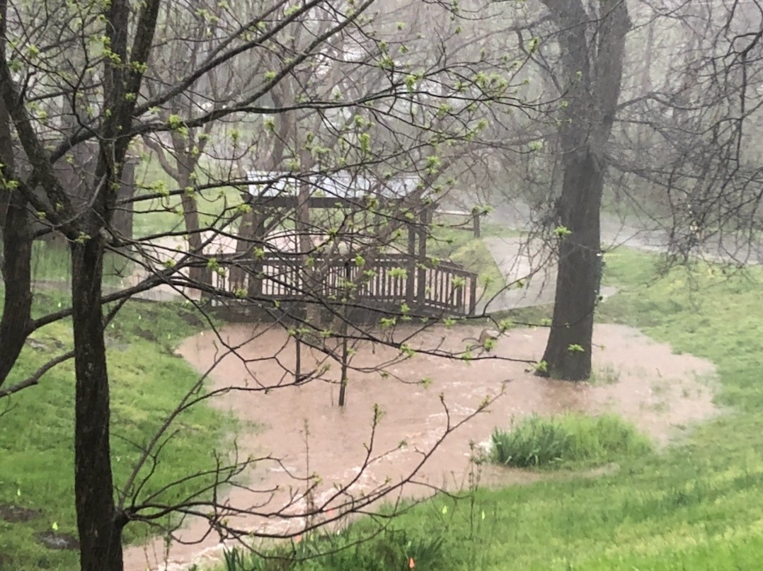 Heavy Rain Closes Hillsborough Park; OWASA Responds to Wastewater Spill