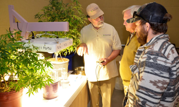 The Next Frontier for Hemp