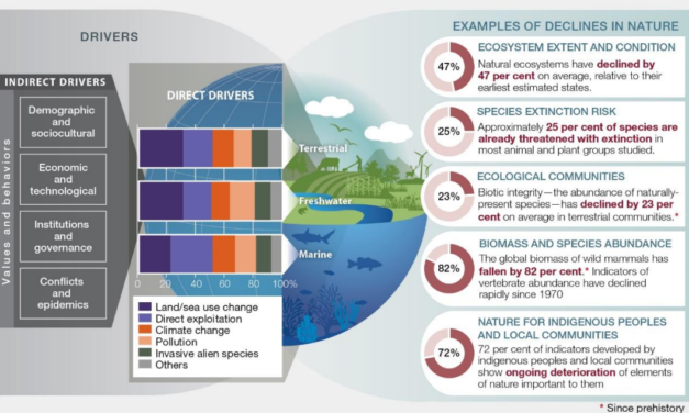 Science Says: Why Biodiversity Matters to You