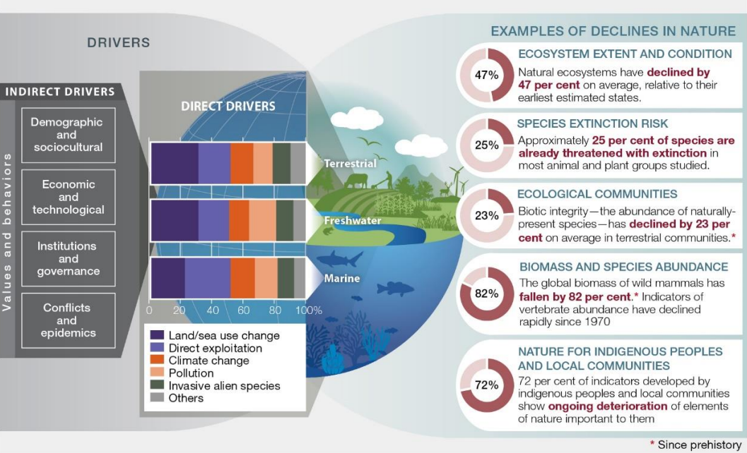 science-says-why-biodiversity-matters-to-you