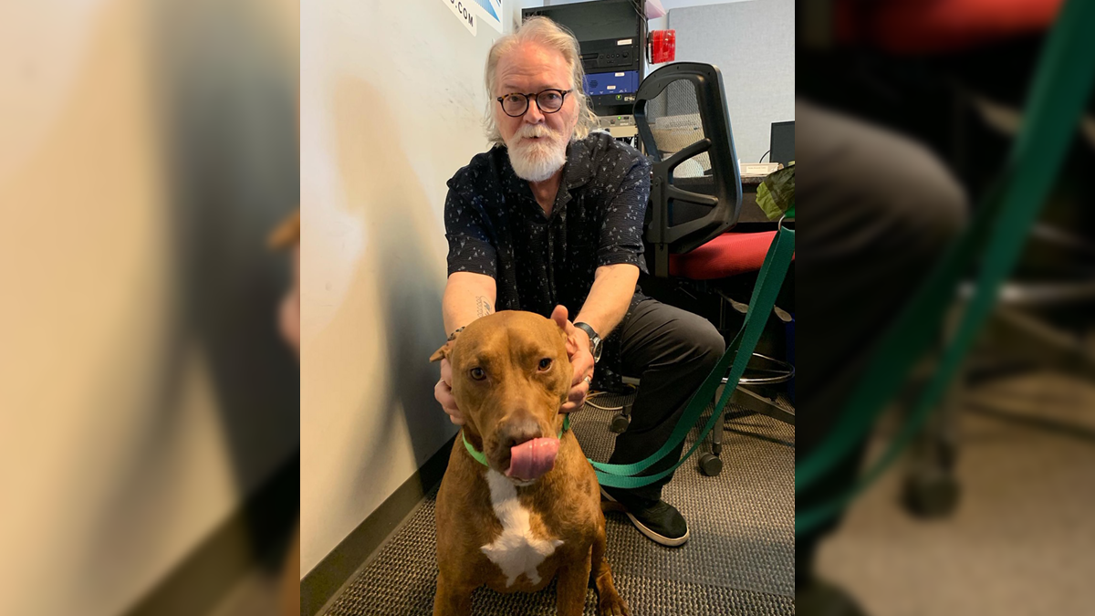 Adopt-A-Pet: Quill from Independent Animal Rescue