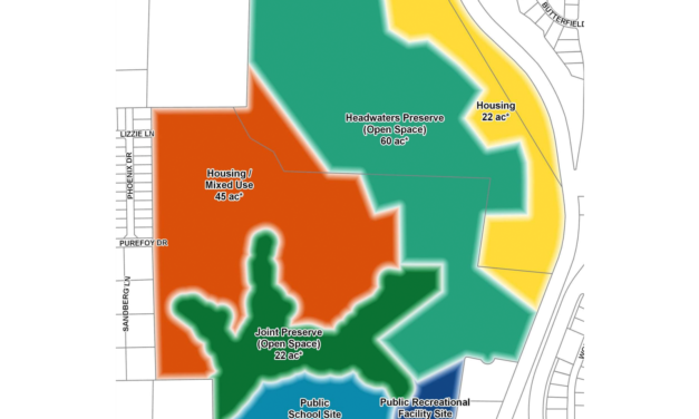 Viewpoints: Regarding the Greene Tract Forest