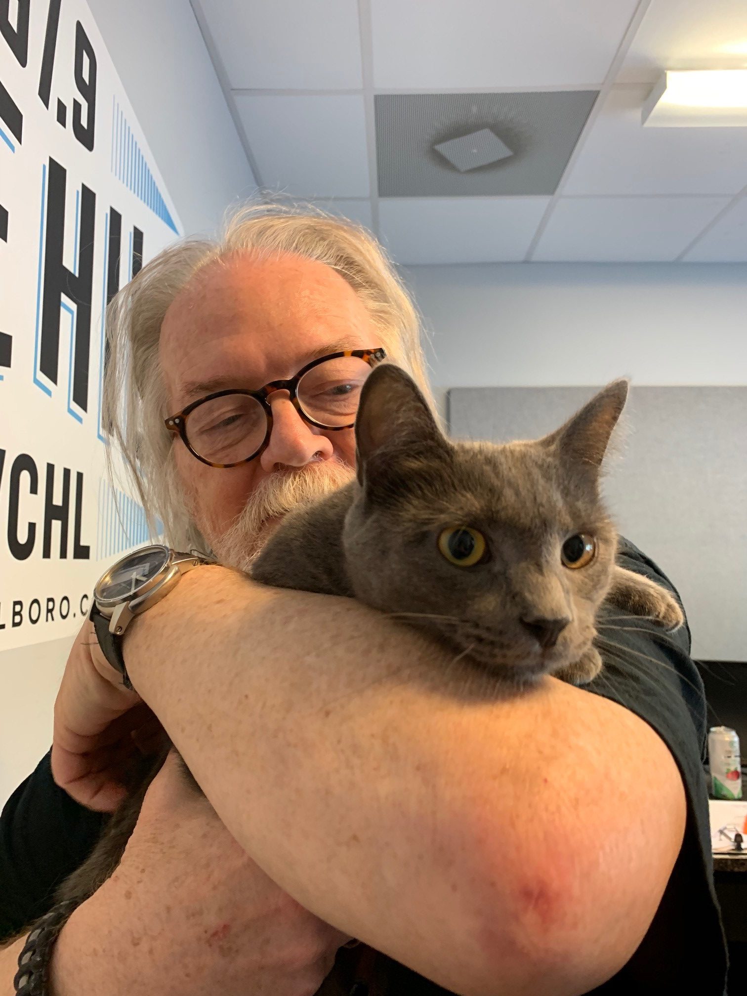 Adopt-A-Pet: Ashley Blue from the Goathouse Refuge