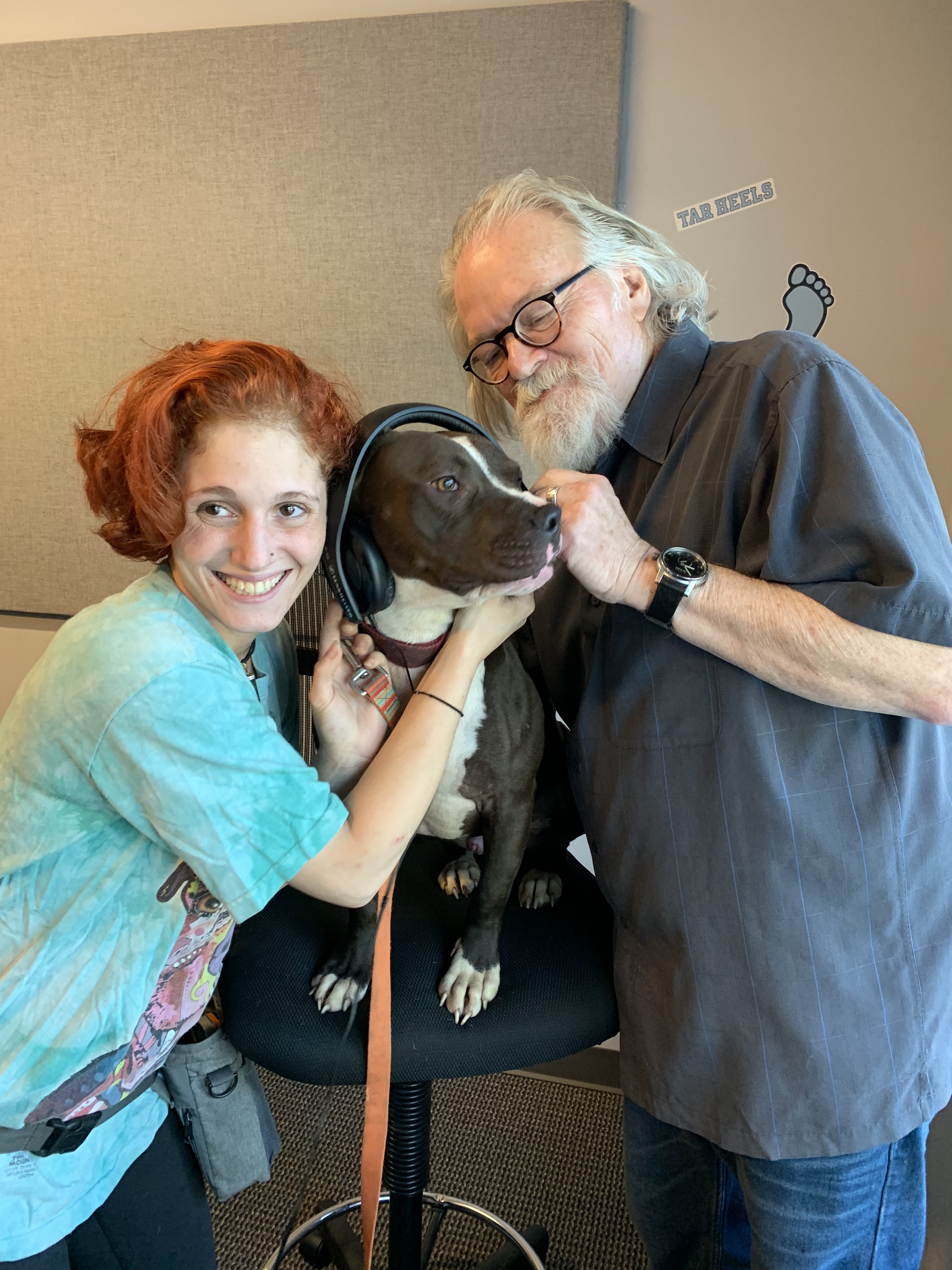 Adopt-A-Pet: Elroy from Yadid’it! Sustainable Dog Rescue