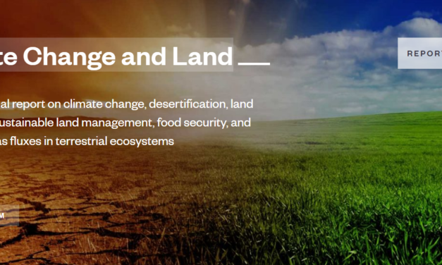 UN Climate Report: Change Land Use to Avoid a Hungry Future